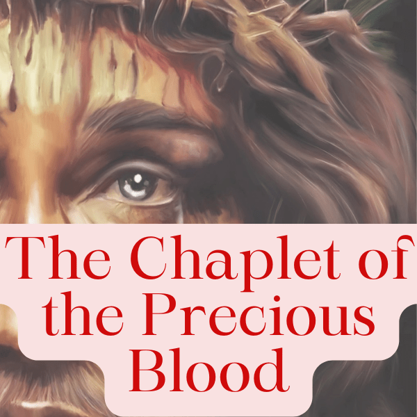 Chaplet of the Precious Blood – Promises & How to Pray – Precious Blood ...