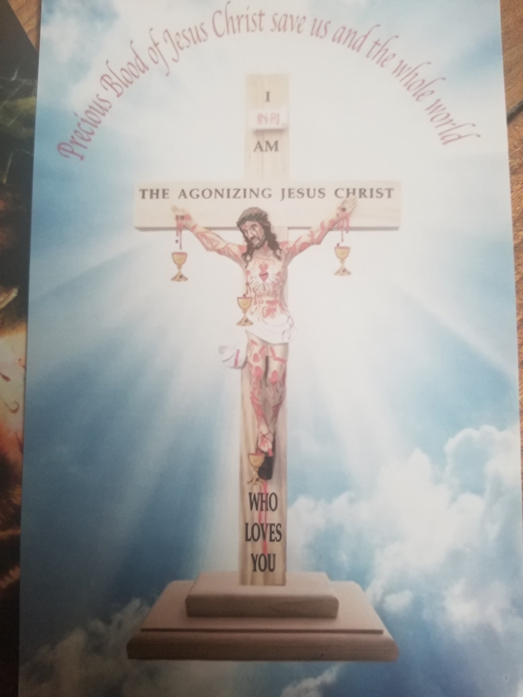 Precious Blood Vision Posters - Given By Heaven