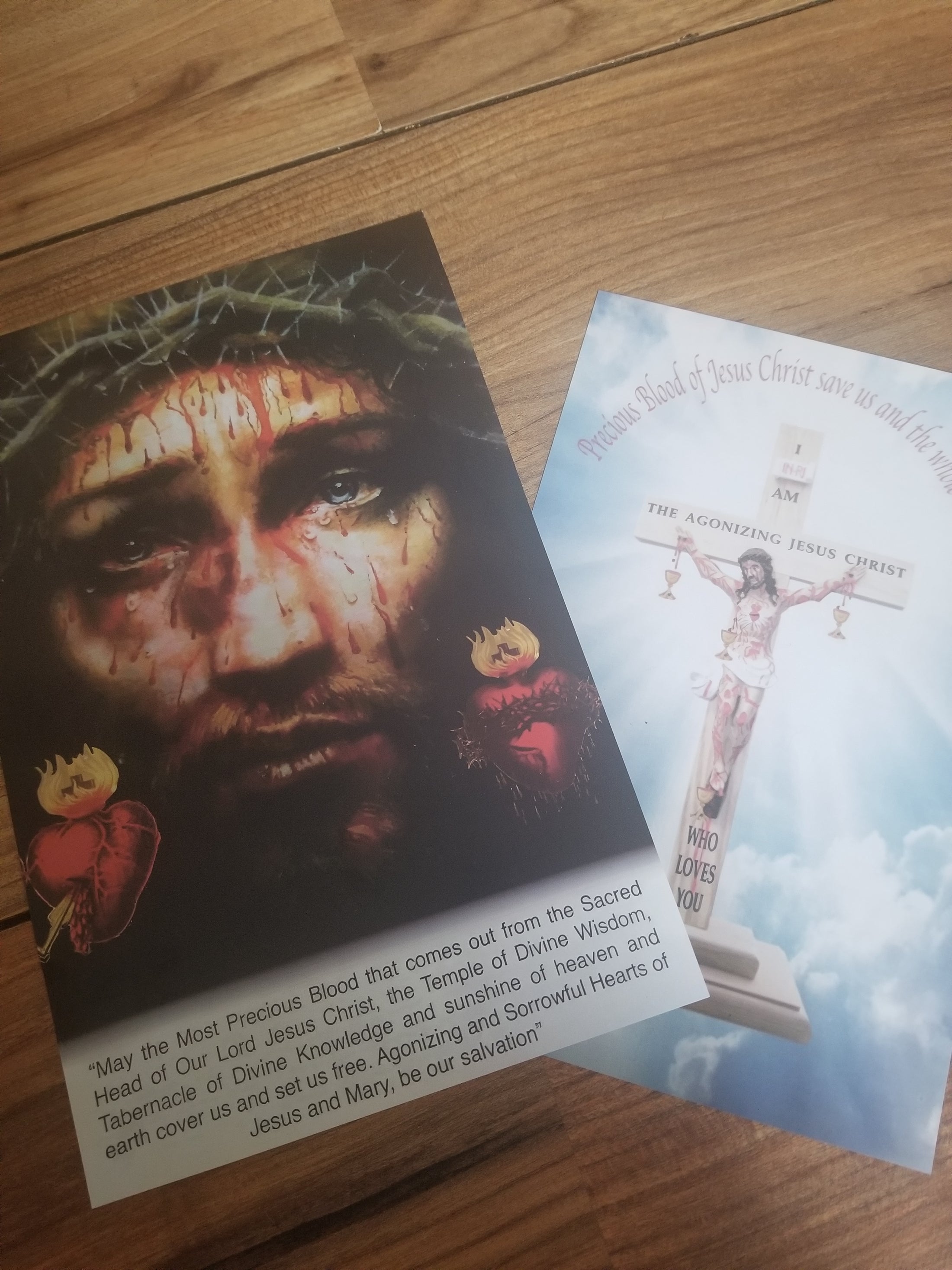 Precious Blood Vision Posters - Given By Heaven