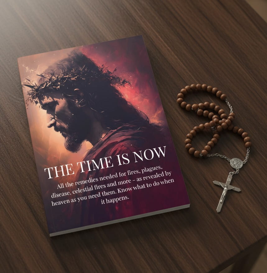 The time is now book